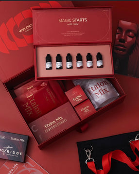 Basistraining Powder Brows + Lippigmentatie